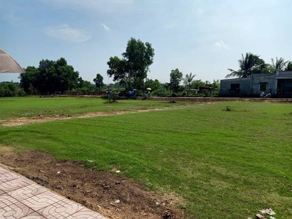 Nhà đất ấp Long Hòa Tây Ninh